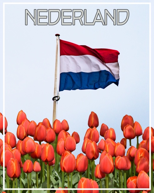 Vrijwilligerswerk in Nederland De Kracht van Samenwerking 341950285