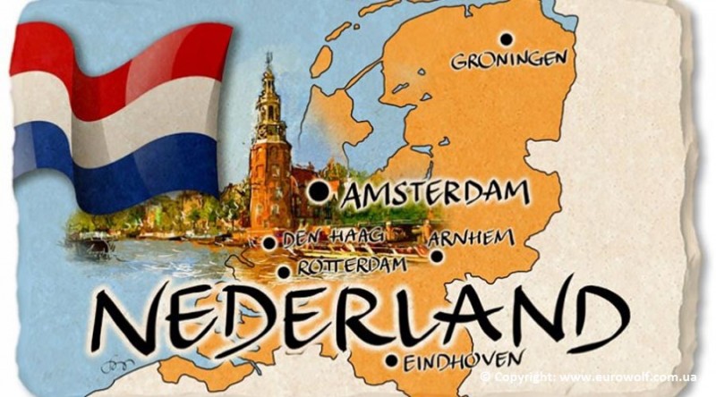 Vrijwilligerswerk in Nederland De Kracht van Samenwerking 341950285