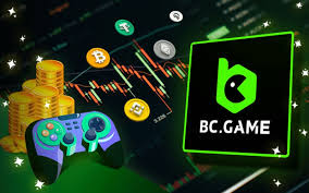 Understanding the General Terms and Conditions of BC.Game -699251183
